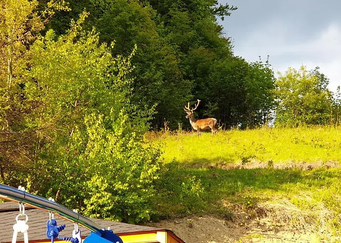 Perla Szczyrku Apartment *